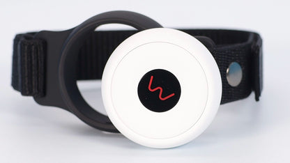 BIOFLEX WAVE Nano 360