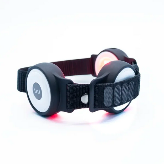 BIOFLEX WAVE Nano 360